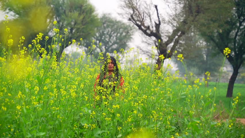 Young woman farmer walking in a mustard field, early morning. Yellow blooming flowers field in village. Lady Inspecting and standing middle of the winter season crops. Organic Agriculture Farm