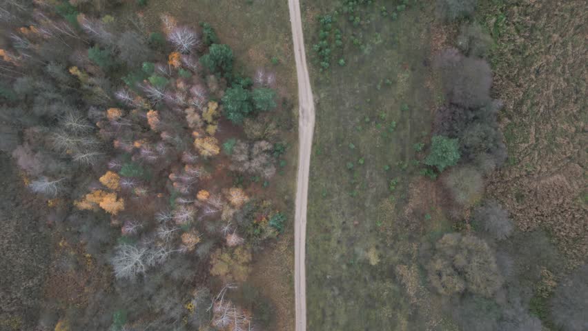 Aerial view of a scenic path winding through a dense forest next to a serene lake area.