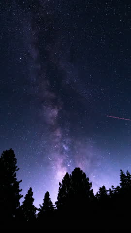 Vertical August Night Sky Milky Way Galaxy Above Oak Trees South Time Lapse Astrophotography