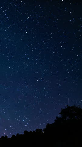 Vertical Shot Summer Milky Way Galaxy Star Trails of August South Sky Above Forest Astrophotography Time Lapse