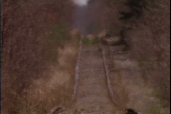 Railway in Hanson, Massachusetts. WS soft focus looking down railroad track with heat haze. Tracks bordered by some evergreens and bare trees.