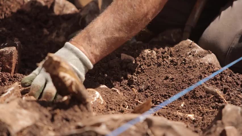Archaeologist carefully digging and removing soil, exploring ancient civilizations and uncovering historical discoveries.