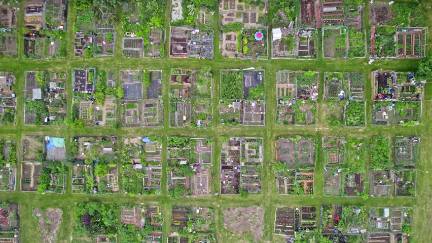 Community garden prepared for vegetables and fruits farming, aerial view of urban farms near citizens homes. Homesteading life style and self-sufficient food preserving concept. Aerial view.