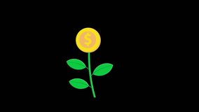 Plant with gold coin flowers cartoon.Looped growing flower money animation. Investment concept features a captivating growth of coins - Powered by Shutterstock - Get 15% off with code: PIKWIZARD15