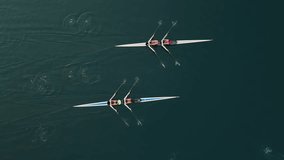 Top View Cinematic Drone View Of Morning Rowing Practice Halifax Harbor Canada. Stunning Aerial Scene Capturing Team Of Rowers Exercising Under Warm Sunrise Glow On Still Sea. - Powered by Shutterstock - Get 15% off with code: PIKWIZARD15
