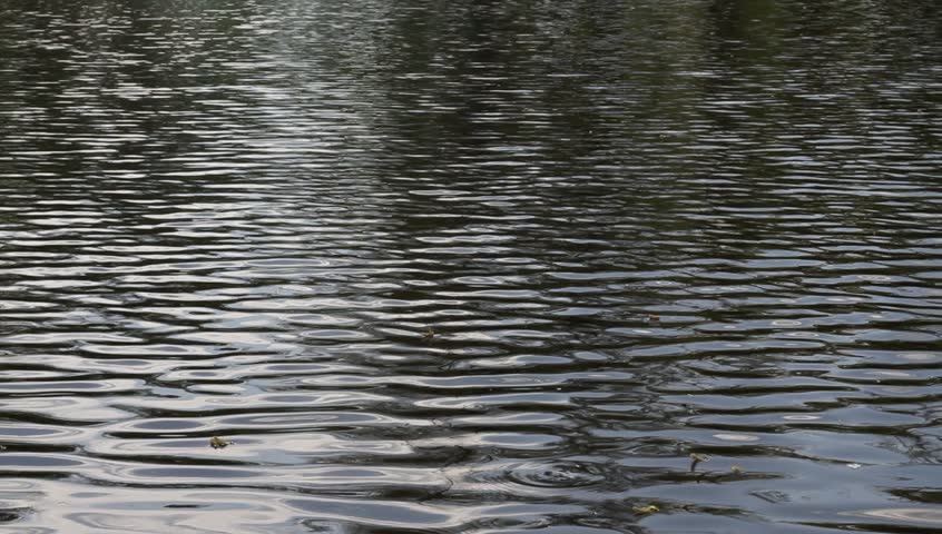 Water Ripples On the Surface Stock Footage Video (100% Royalty-free