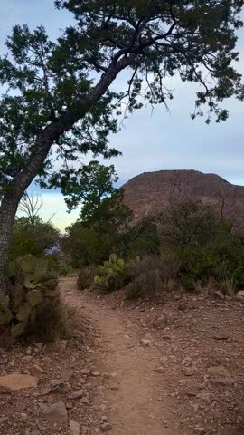 Dusty Trail Through Mountain Pass With Cacti (Big Bend National Park, Texas, USA)