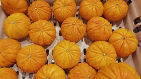 A close-up of a South African pumpkin mandarin, known for its deep orange color and distinctive ribbed, pumpkin-like shape.  - Powered by Shutterstock - Get 15% off with code: PIKWIZARD15