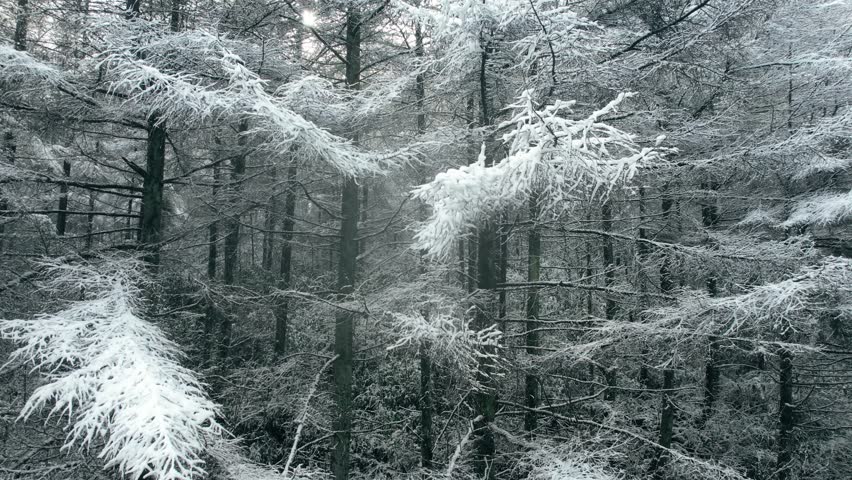 Minimalist Aerial Winter Scene with Snow and Frost for Video Titles
