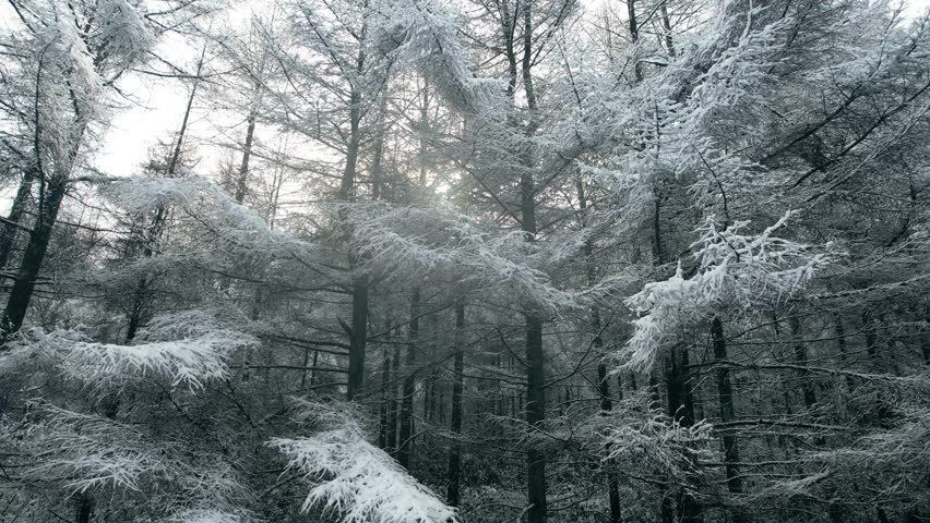 Minimalist Aerial Winter Scene with Snow and Frost for Video Titles