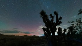 TImelapse tracking shot of rare aurora borealis over Joshua Tree in Mojave Desert in Southern California on November 12th, 2025 - Powered by Shutterstock - Get 15% off with code: PIKWIZARD15