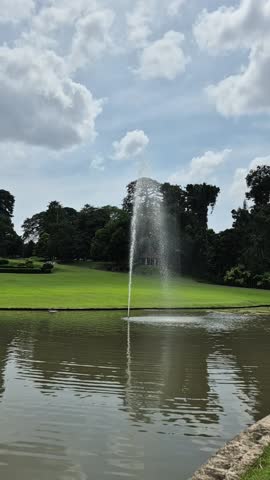A serene park scene with a lily pad-covered pond, lush green grass, and trees, featuring a play button overlay.