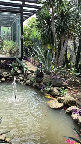 A serene park scene with a lily pad-covered pond, lush green grass, and trees, featuring a play button overlay.