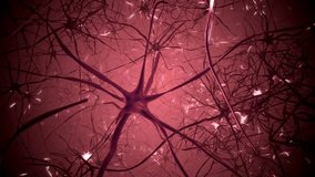 A glowing web of neurons sparks with constant activity, forming a looping 3D animation of the brain’s complex neural network as signals pulse and connect across branching pathways. - Powered by Shutterstock - Get 15% off with code: PIKWIZARD15