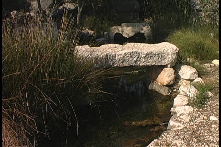 A natural pond in rustic setting