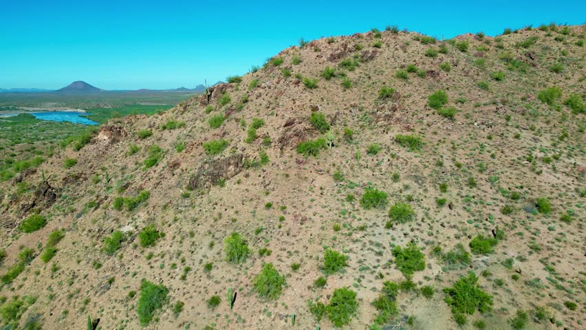 A side view of a rocky desert hillside in Arizona covered with sparse shrubs and cacti, bathed in bright sun beneath the clear blue sky