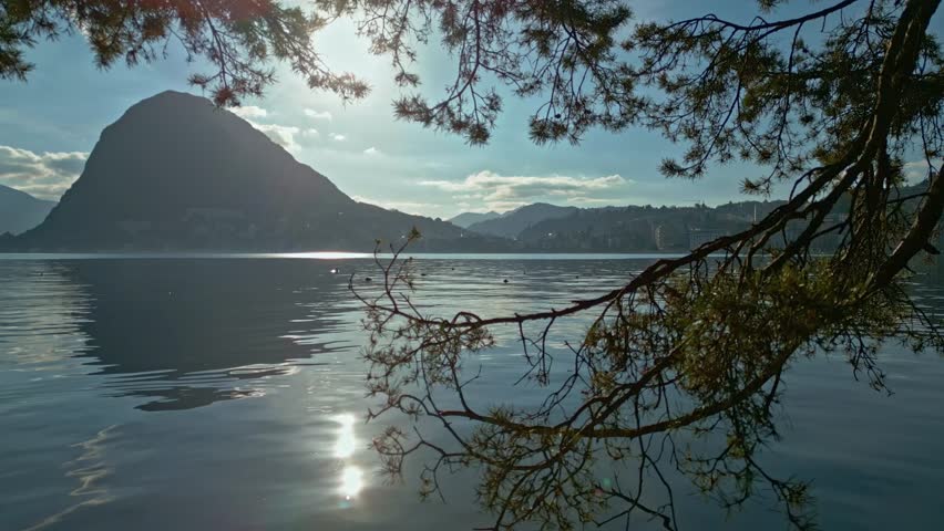 Sunlight reflects across Lake Lugano as Monte San Salvatore rises behind Paradiso, framed by pine branches from Parco Ciani with a ducks swimming in Lake Lugano.