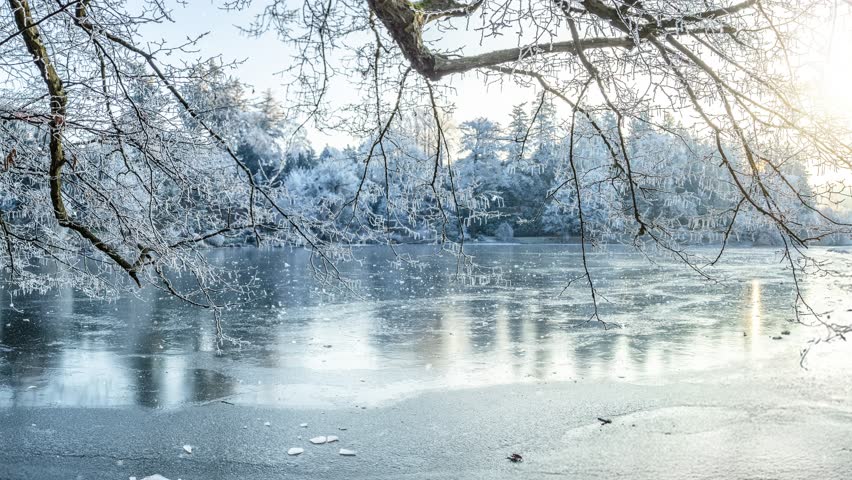 Winter landscape with a frosty tree in the foreground and a frozen lake in the background. Snowflakes gently falling in slow motion create a peaceful and atmospheric winter scene.
