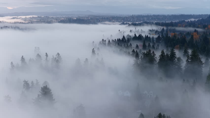 Thick morning fog drifts through a scenic, forested Pacific Northwest landscape near Portland, Oregon. Fog and mist forms when moist air cools to its dew point, causing water vapor to condense.