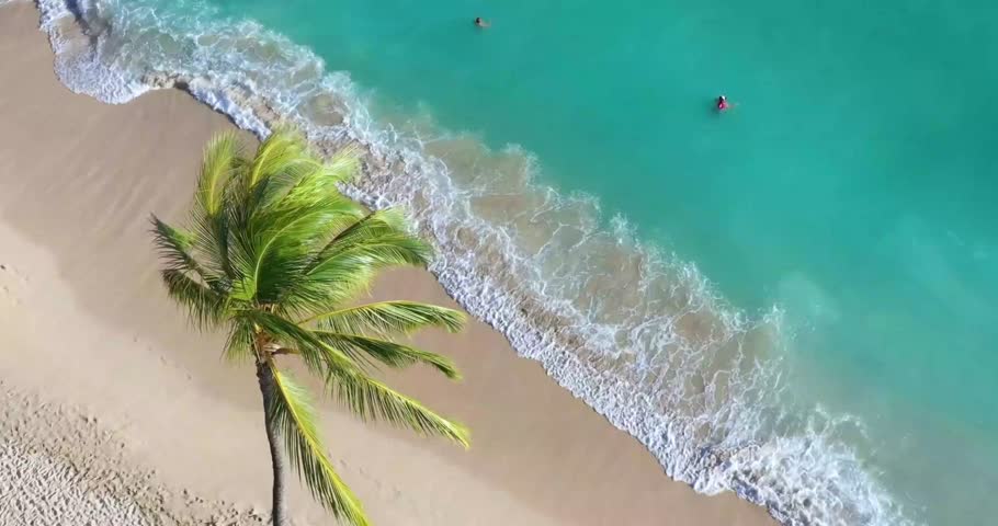 Beautiful footage capturing gentle sea waves softly washing onto the beach shore. Perfect for nature documentaries, travel videos, relaxation content, tourism promos, and background visuals.