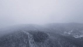 A premium FPV drift above a winter forest swallowed by mist and snowfall, blending soft light with natural icy textures. - Powered by Shutterstock - Get 15% off with code: PIKWIZARD15