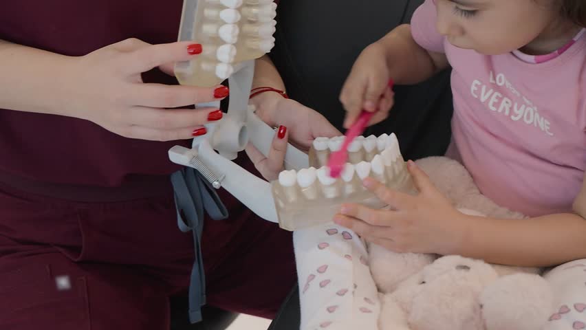 Woman dentist demonstrating to a young girl the correct way to brush her teeth with the help of a big anatomical mouth model and a pink toothbrush