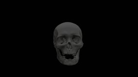 Skull catches on fire, burning skull VFX element - 4K, Pro Res, 60fps with mask pass - Powered by Shutterstock - Get 15% off with code: PIKWIZARD15