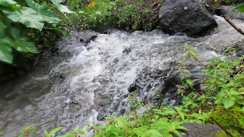 Little Waterfall Inside Bali Paddy Field Irrigation System