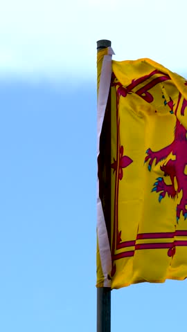 Yellow heraldic flag with red lion ripples dynamically in bright daylight, blue sky background