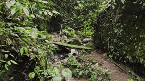 Sendero en un bosque húmedo del Ecuador, con escaleras de tierra y un pasamano rústico de madera, rodeado de vegetación densa y un ambiente tranquilo y natural. - Powered by Shutterstock - Get 15% off with code: PIKWIZARD15