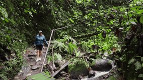 A woman pauses on a mossy wooden bridge, surrounded by green vegetation, observing a powerful waterfall in the forest. - Powered by Shutterstock - Get 15% off with code: PIKWIZARD15