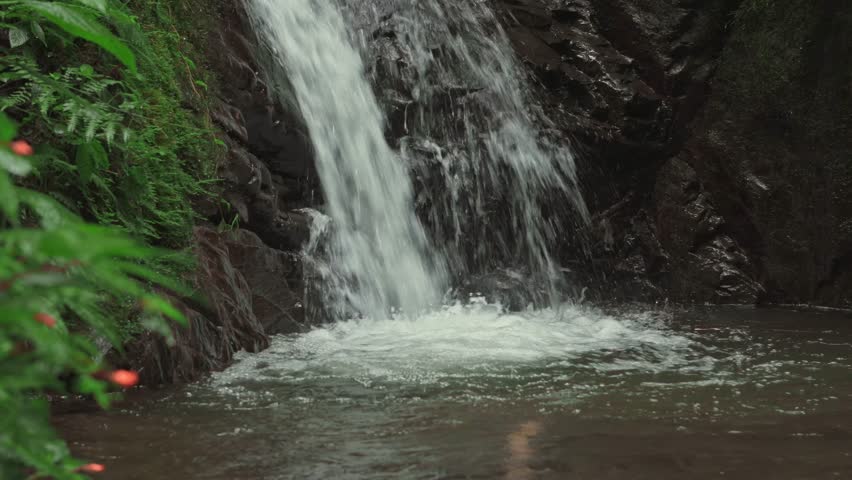 Video of water falling from a small forest creek, forming a gentle waterfall that flows into a calm, clear natural pool. A serene and refreshing nature scene perfect for relaxation themes.