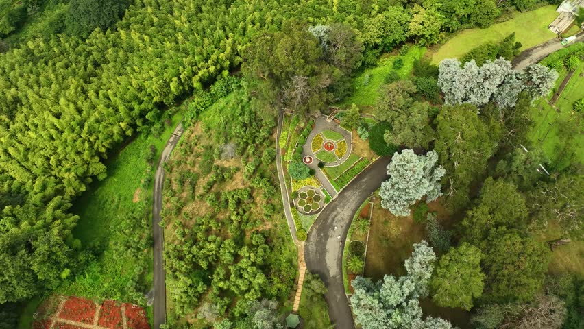 A peaceful aerial view of a curved road winding through a lush botanical garden surrounded by trees and flowering areas