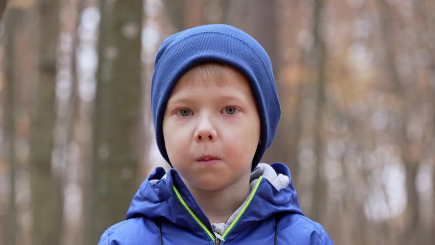A young boy in a blue hat stands still in the woods, his expression reflecting wonder. Sunlight filters through the trees, creating a magical atmosphere around him.