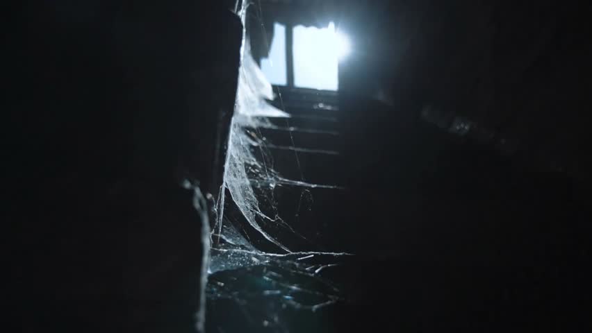 Slow-motion of a silhouetted man walking down a staircase with cobwebs, sunlight streaming in, creating a mysterious and atmospheric scene.