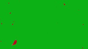 Falling Red Rose Petals Romantic Overlay on Green Screen Background - Powered by Shutterstock - Get 15% off with code: PIKWIZARD15