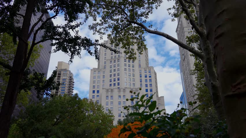 View of office skyscraper through trees and foliage in Madison Square Park of New York City, NYC, New York, United States