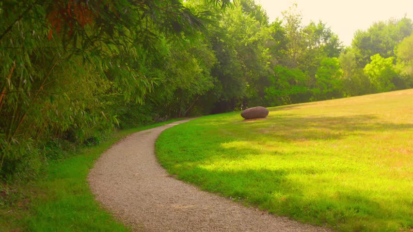 A tranquil, wide shot of a curving gravel path bordered by a bright green meadow and dense summer forest. Captures a feeling of journey, tranquility, and natural beauty.