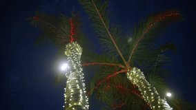 palm tree wrapped in lights at night, moonlit tropical beach scene with red accents and warm bokeh, resort - Powered by Shutterstock - Get 15% off with code: PIKWIZARD15
