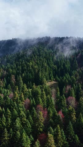 Bolu Abant, Turkey – Drone aerial of misty mountains and dense forests covered by thick fog and heavy clouds, creating a dramatic and atmospheric rainy nature scene.