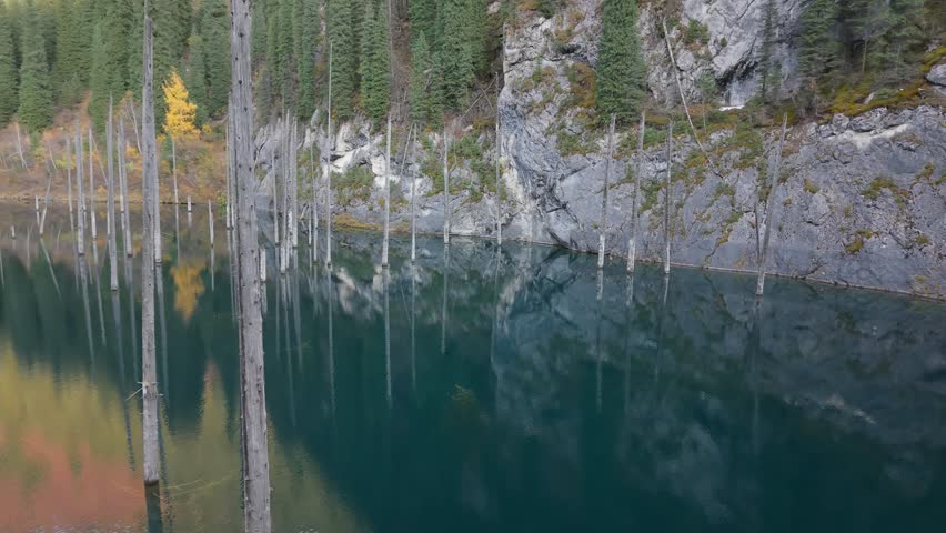 Tranquil lake scene showcasing tall trees reflected in calm waters, camera pans smoothly to reveal vibrant autumn colors and rocky cliffs, enhancing the serene atmosphere of nature