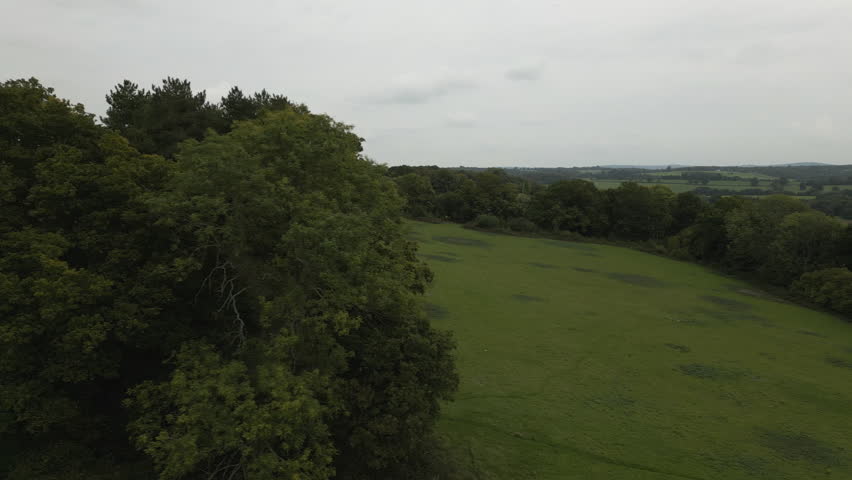 Green meadow and tree line of UK, aerial side fly view