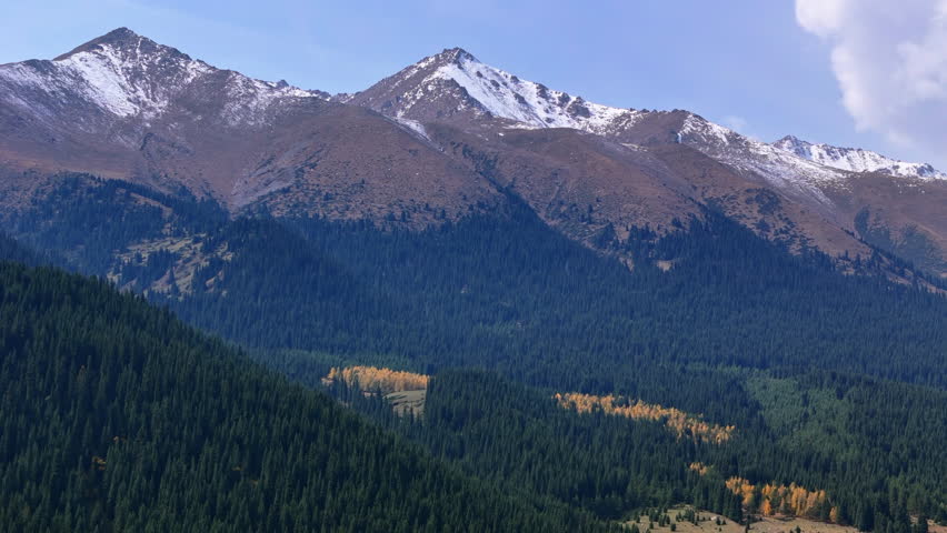 Snowy Mountain Ridge and Pine Forest Tien Shan Kyrgyzstan