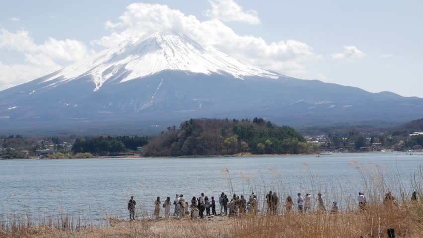 landscape cinematic scene of Mount Fuji famous volcano mountain with sakura cherry blossom tree in Japan perfectly reflected on the still waters of Lake Kawaguchi with windy and clear sky in spring