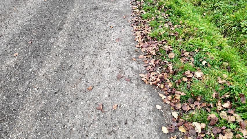 Walking on a dirt road in a field, first-person view