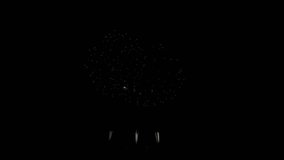 New year 2025 20256 firework exploding in the night sky. Fireworks are pyrotechnic devices designed for entertainment, primarily used in celebratory displays. new year party or celebration event. - Powered by Shutterstock - Get 15% off with code: PIKWIZARD15