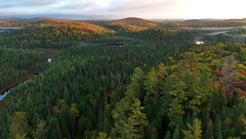 Drone view of a colorful autumn forest with mountains, lake, and river at sunrise in Mauricie, Quebec, Canada. Warm morning light highlights vibrant fall foliage and peaceful landscape.