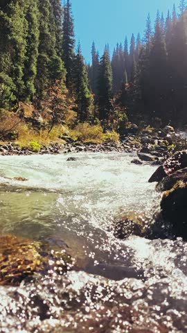 Picturesque places on the way to Terra Glade