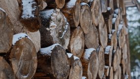 No people shot of pile of neatly stacked logs in snowy forest surrounded by trees creating calm natural winter atmosphere - Powered by Shutterstock - Get 15% off with code: PIKWIZARD15