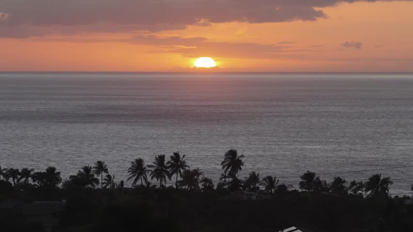 Sunset over Wailea, Maui with a large sun, calm ocean, silhouetted palm trees, birds flying by and a smooth upward drone reveal. Perfect for travel, tourism, nature, and cinematic visuals.